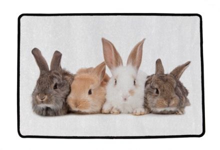 Rohožka these four bunnies 75x45cm