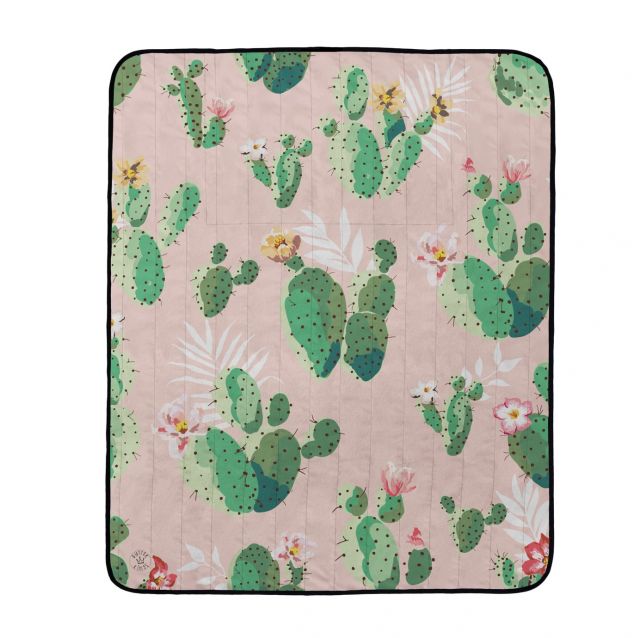 picnic blanket romance with cactus
