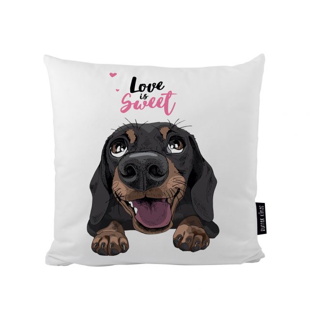 Cushion pup in love